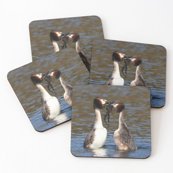 Item preview, Great Crested Grebes Mating Ritual designed and sold by Dorothy Thomson.