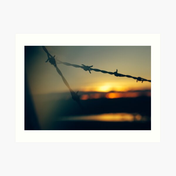 Barb Wire at Dawn: Lens Interference 7 Art Print
