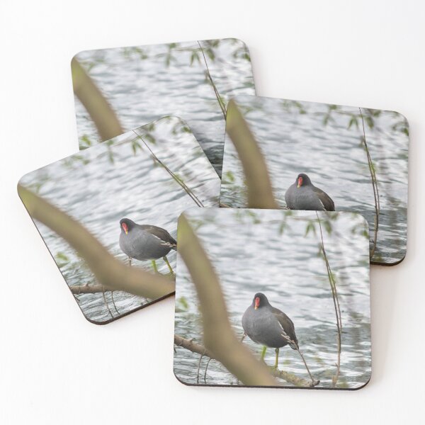 Item preview, Moorhen of the river designed and sold by William  Dockerty.