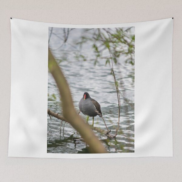 Item preview, Moorhen of the river designed and sold by William  Dockerty.