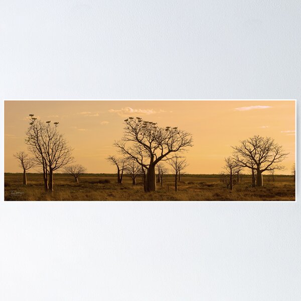 Item preview, Boabs and Ibis designed and sold by Rod Hartvigsen.