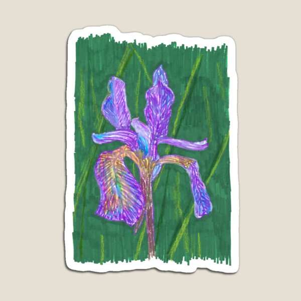 Purple Iris Magnet