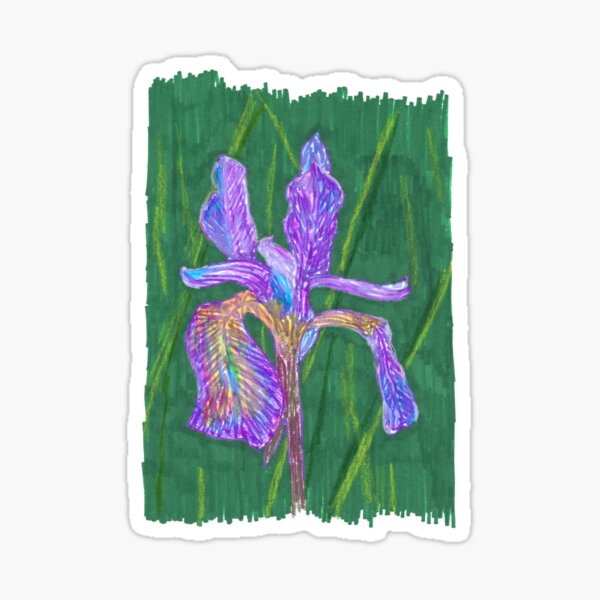 Purple Iris Sticker