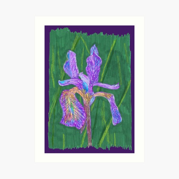 Purple Iris Art Print