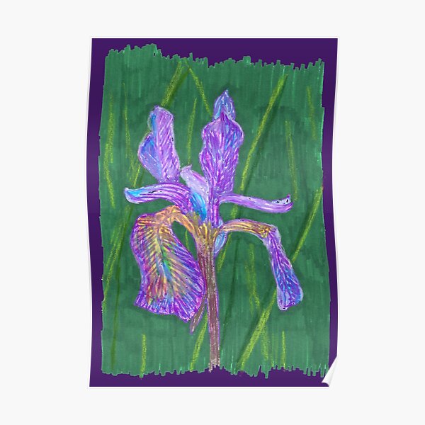 Purple Iris Poster