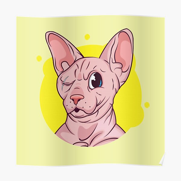 Chat Sphynx Posters Redbubble