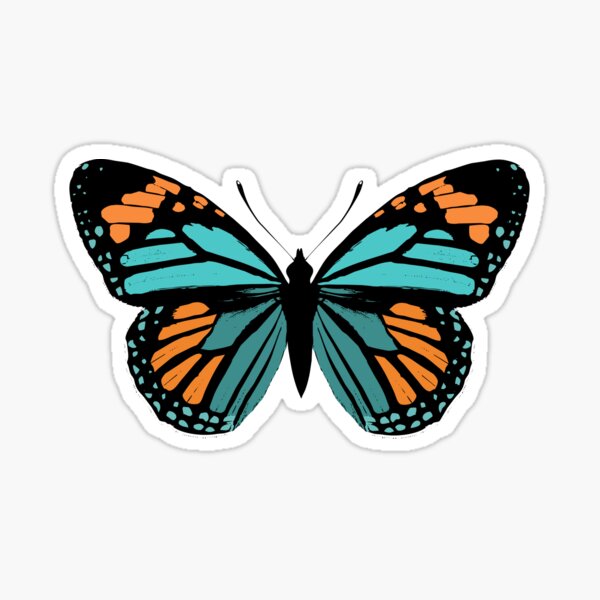 Choice of Borders and Optional Coordinating Butterfly Decals! Orange and Teal Butterfly Peel and Stick Wainscot Wall Decal and Borders
