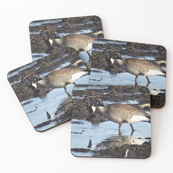 Item preview, Goose looking at reflection designed and sold by cowgirltracie.