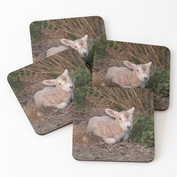 Item preview, Sweet Lamb designed and sold by GingerMan2550.