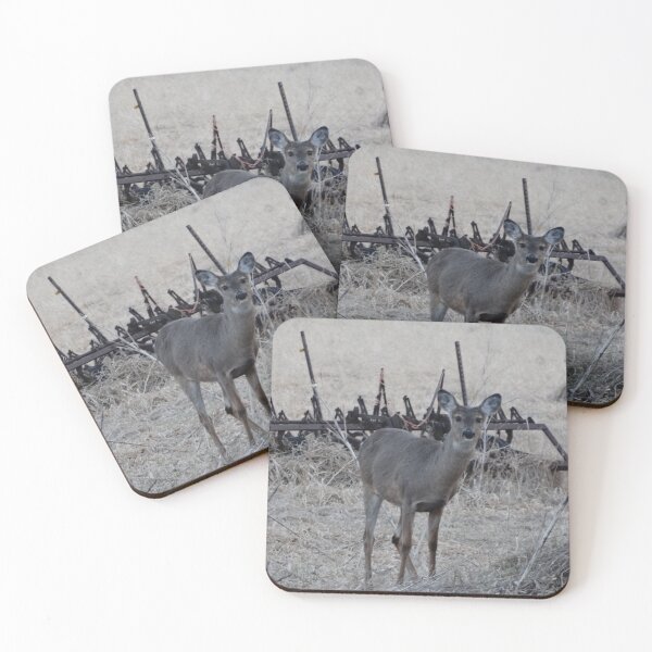 Item preview, White tail deer in field designed and sold by cowgirltracie.