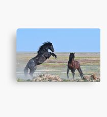 Challenge-3 Canvas Print