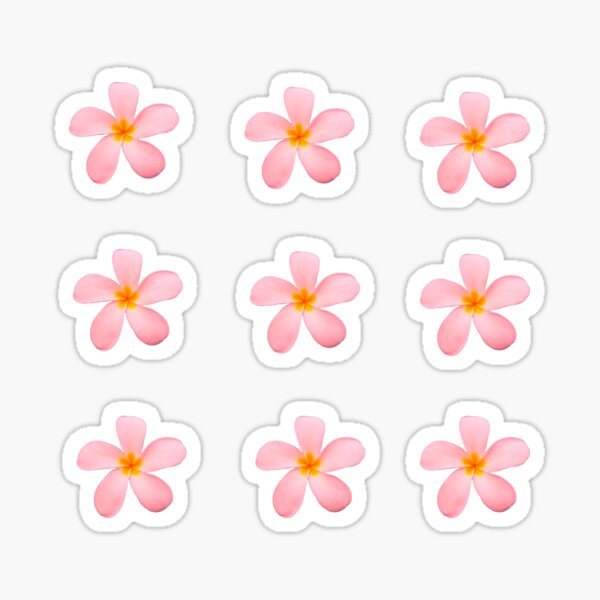Item preview, Pink Frangipani Flowers | Australian tropical flowers designed and sold by Lindsay Marie Patterns.