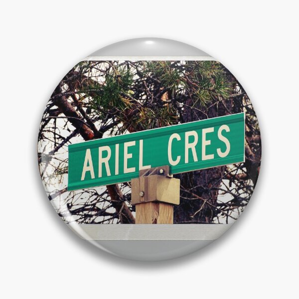 Item preview, Ariel, Ariel magnet, Ariel sticker, Ariel mug, Ariel travel mug  designed and sold by PicsByMi.