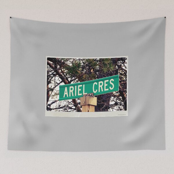 Item preview, Ariel, Ariel magnet, Ariel sticker, Ariel mug, Ariel travel mug  designed and sold by PicsByMi.