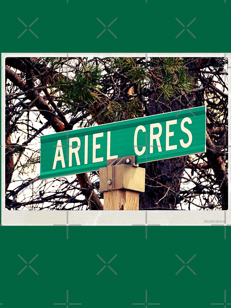 Ariel, Ariel magnet, Ariel sticker, Ariel mug, Ariel travel mug by PicsByMi