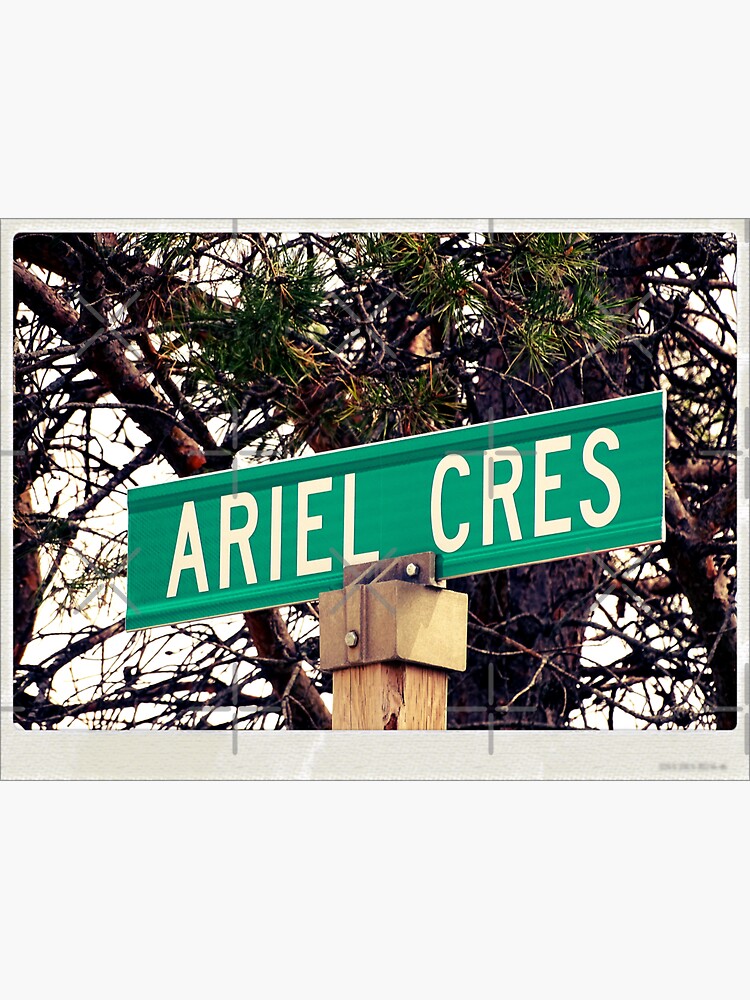 Ariel, Ariel magnet, Ariel sticker, Ariel mug, Ariel travel mug by PicsByMi