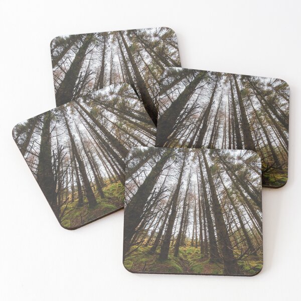 Item preview, "And into the forest I go to lose my mind and find my soul” – John Muir designed and sold by spoilmesweetie.