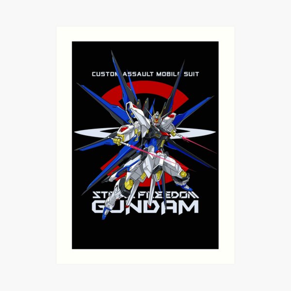 Shinn Asuka Mobile Suit Gundam Seed Destiny Der Troll Froggy Kunstdruck Von Gtsbubble Redbubble