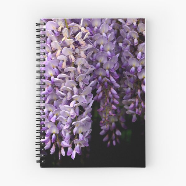 Item preview, Wisteria in bloom designed and sold by annalisa56.