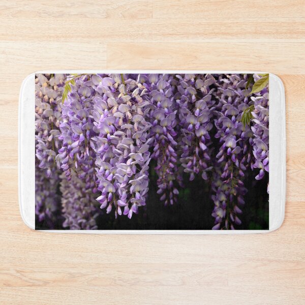 Item preview, Wisteria in bloom designed and sold by annalisa56.