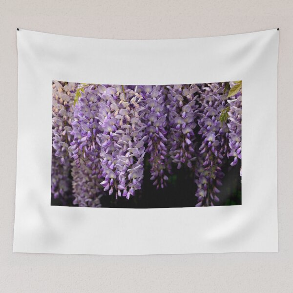 Item preview, Wisteria in bloom designed and sold by annalisa56.