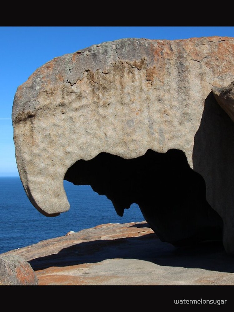 Remarkable Rocks Kangaroo Island, SA by watermelonsugar