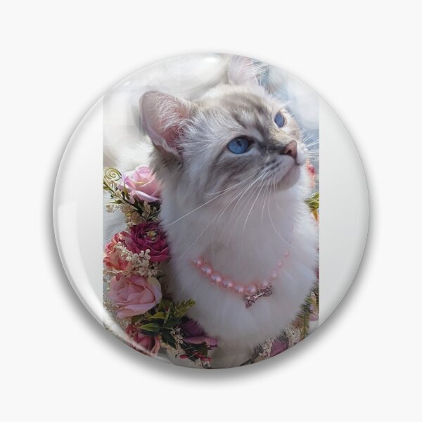 Item preview, Copy of Saoirse the lynx ragdoll goddess designed and sold by Fluffycat2020.