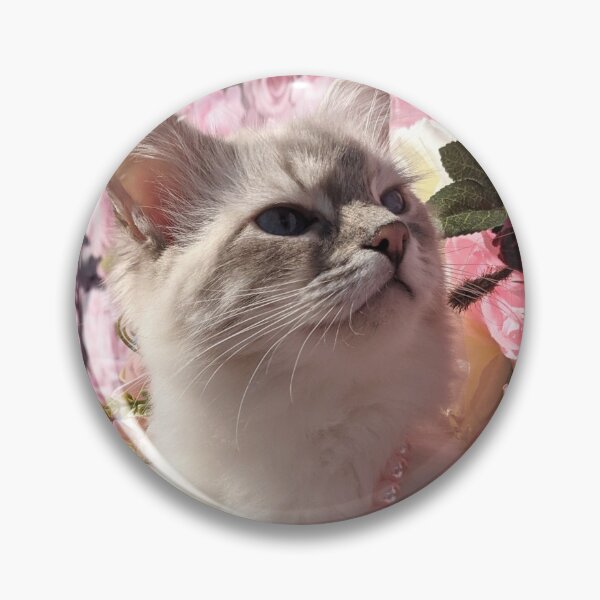 Item preview, Copy of Saoirse the lynx ragdoll goddess designed and sold by Fluffycat2020.