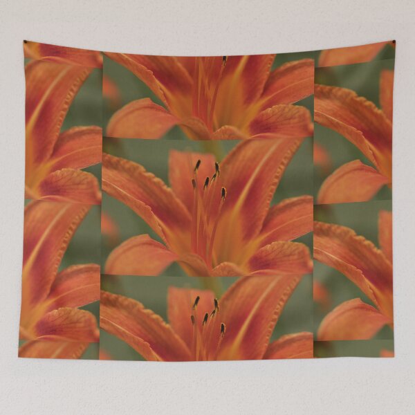 Item preview, Orange Daylilly, As Is designed and sold by Kim McClain Gregal.
