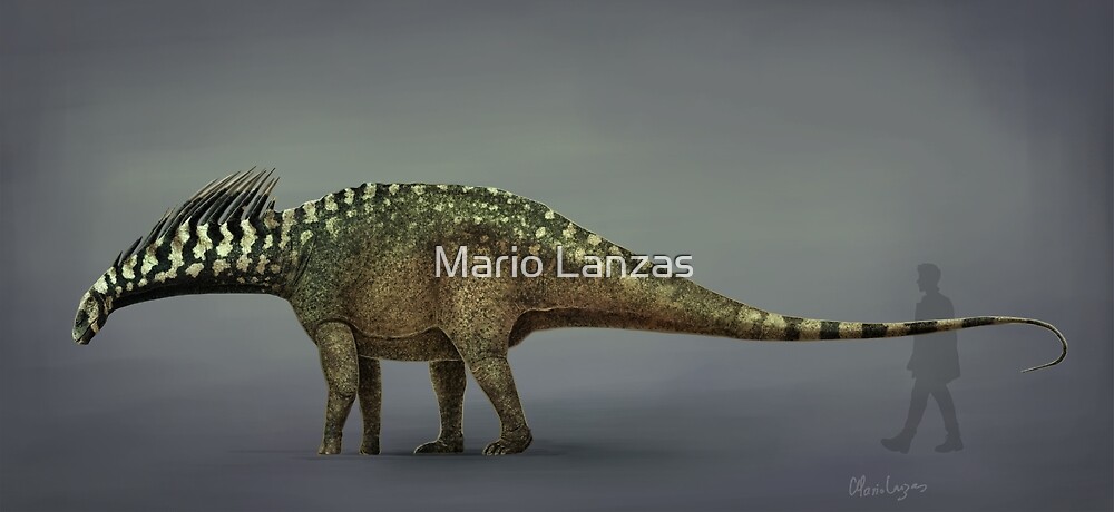 amargasaurus amazon