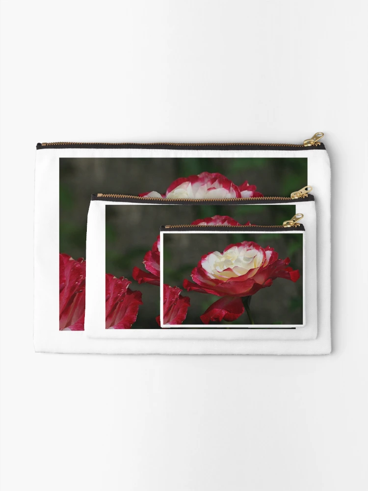 Thumbnail 2 of 4, Zipper Pouch, Red Ruffles designed and sold by Monnie Ryan.