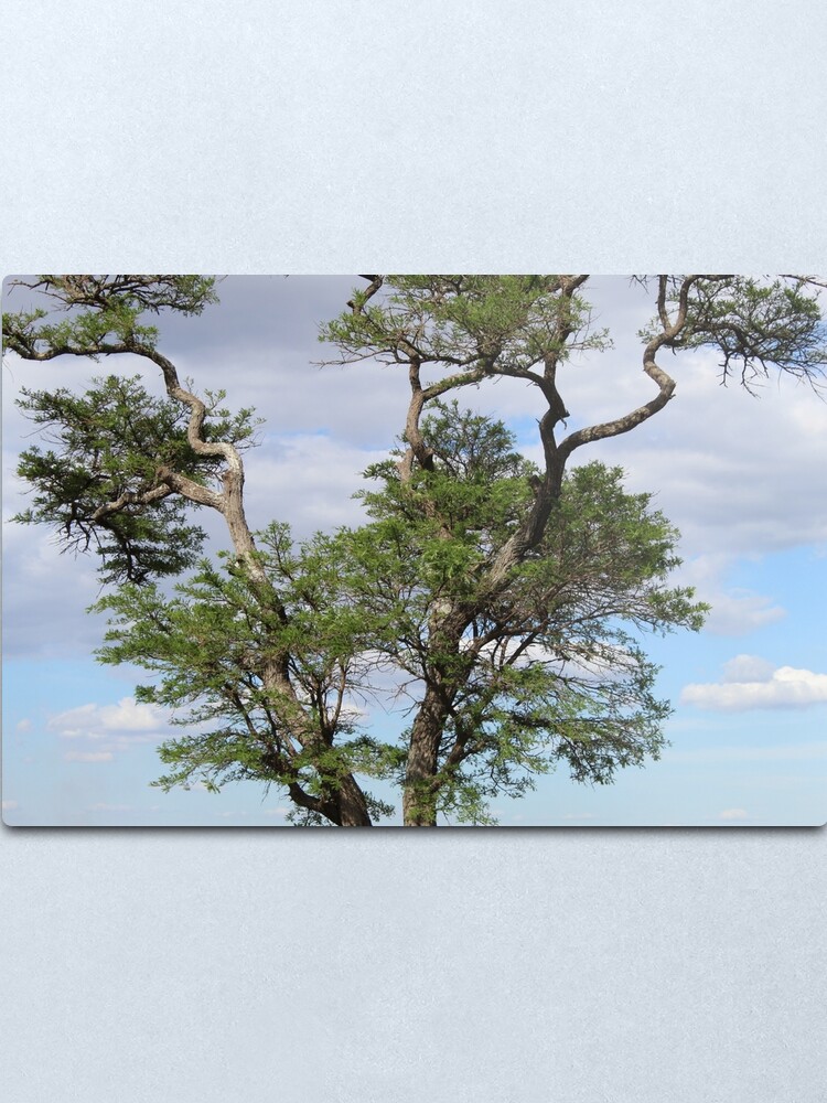 Alternate view of Perched On a Tree Metal Print