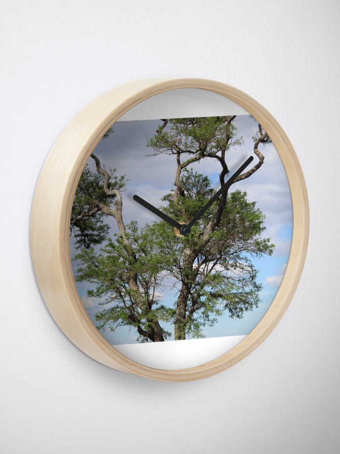 Alternate view of Perched On a Tree Clock