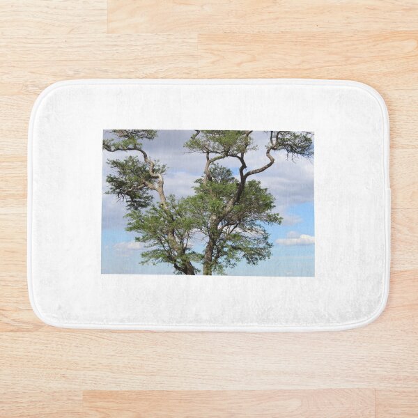 Perched On a Tree Bath Mat