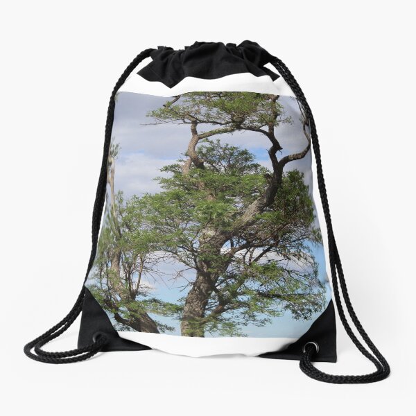 Perched On a Tree Drawstring Bag