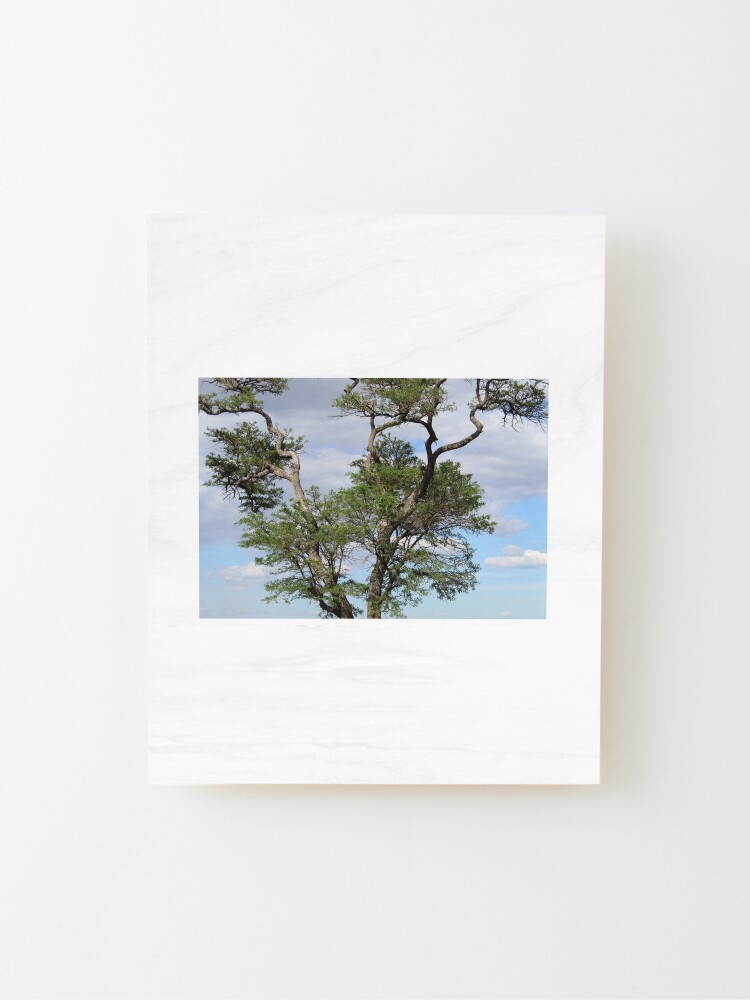 Alternate view of Perched On a Tree Mounted Print