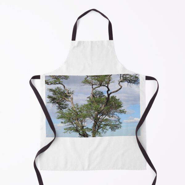 Perched On a Tree Apron