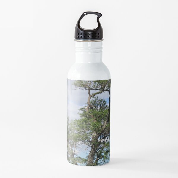 Perched On a Tree Water Bottle