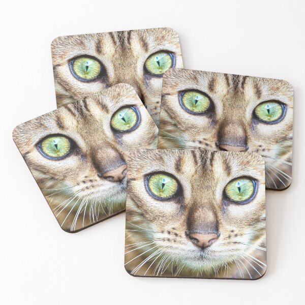 Item preview, Bengal Cat Staring Me Down designed and sold by KarenWillshaw.