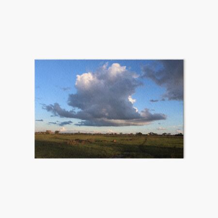 The Flying Cloud Art Board Print