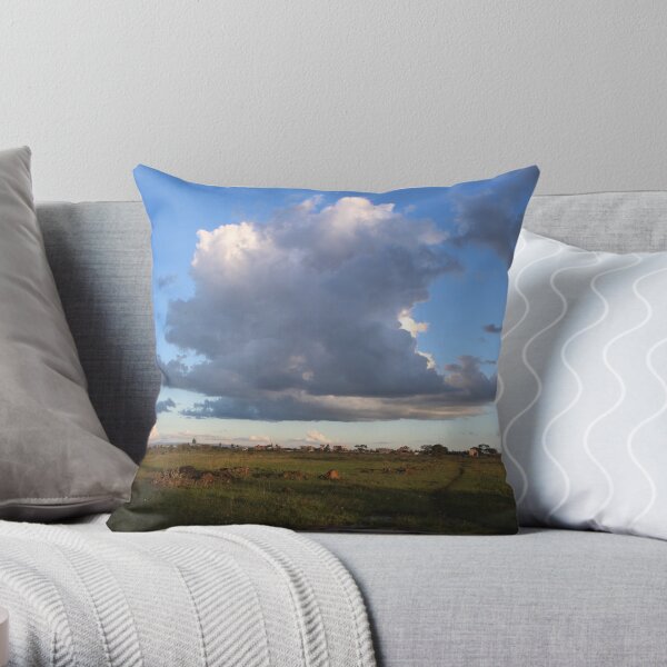 The Flying Cloud Throw Pillow