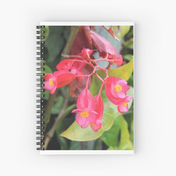 Blossoms Spiral Notebook