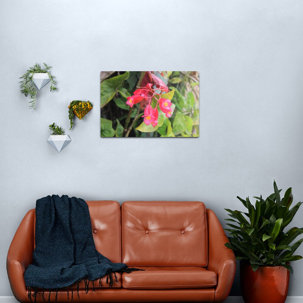 Blossoms Metal Print