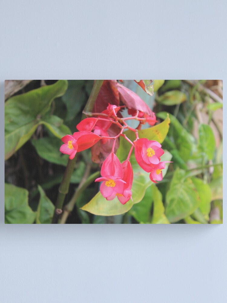 Alternate view of Blossoms Canvas Print