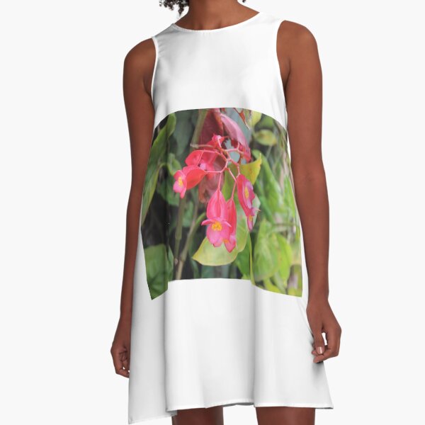 Blossoms A-Line Dress