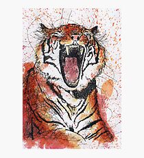 Scribble Ink Tiger Photographic Print