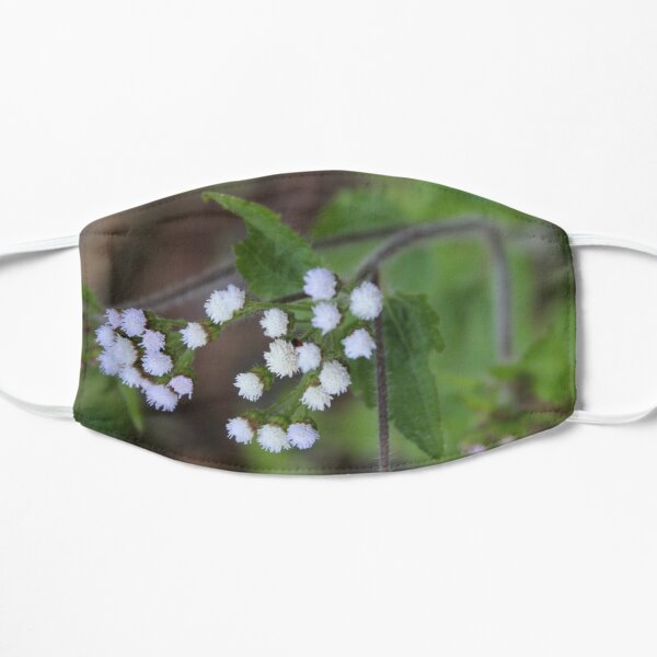 Us Flat Mask