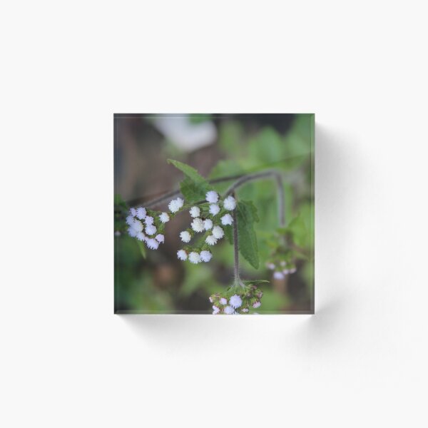 Us Acrylic Block