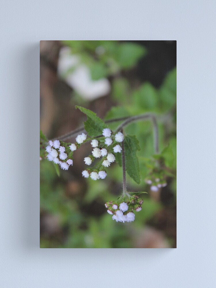 Alternate view of Us Canvas Print