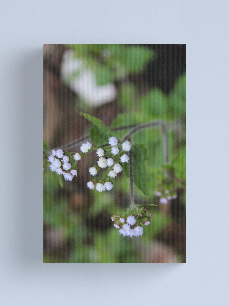 Alternate view of Us Canvas Print